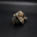 Blue Barite Specimen