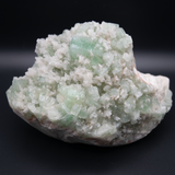 Green Apophyllite Extra Large Specimen