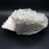 Green Apophyllite Extra Large Specimen