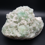 Green Apophyllite Extra Large Specimen
