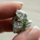 Watermelon Tourmaline Thumbnail Specimen