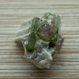 Watermelon Tourmaline Thumbnail Specimen