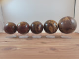 Petrified Wood Sphere