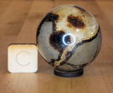 Septarian Sphere