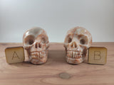 2.5" Red Line Jasper Skull Carving
