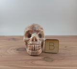 2.5" Red Line Jasper Skull Carving
