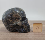 3.5" Llanite / Que Sera Skull