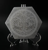 4" Selenite Engraved Hexagonal Plate - Tree of Life