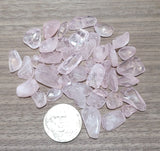 1 ounce of tumbled Rose Quartz chips next to a coin for size comparison.