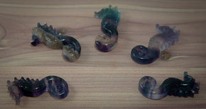 Small Fluorite Seahorse Carving