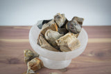 Petrified Wood Raw Pieces