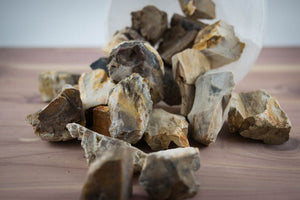 Petrified Wood Raw Pieces